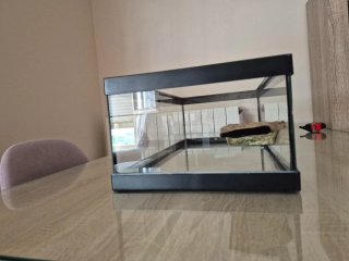 Tortuguera 60x30x20 cm con tapa de cristal
