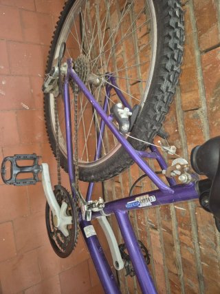 Bicicleta 24 "