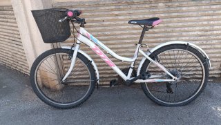 Bicicleta infantil DTB niña
