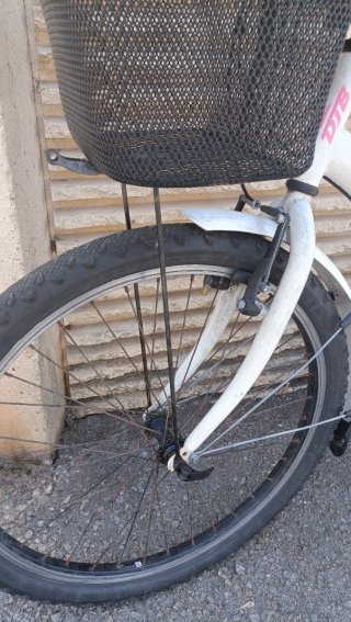 Bicicleta infantil DTB niña
