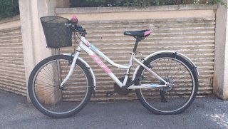Bicicleta infantil DTB niña