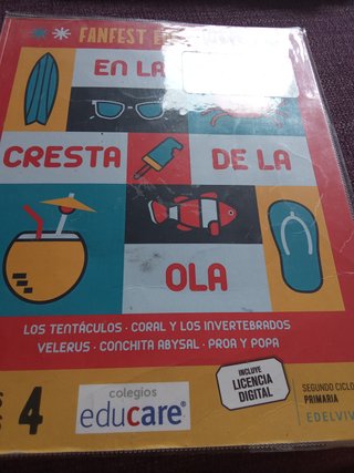Lote libros de texto