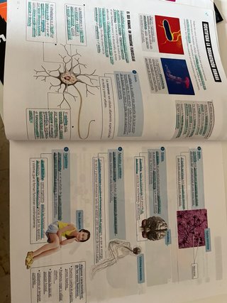 Conocimiento del medio 5, Tercer Ciclo Primaria...