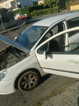 Peugeot 307 2005