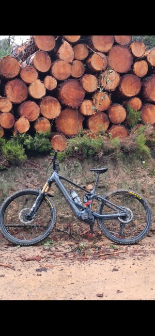Bicicleta eléctrica Orbea wild H10 full kashima