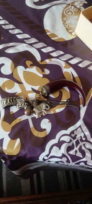 Collar Diente Marrón y Plata Urge