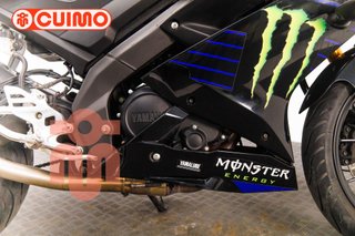 YAMAHA YZF R 125