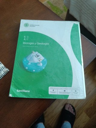 BIOLOGIA Y GEOLOGIA ASTURIAS 1 ESO CONSTRUYENDO...