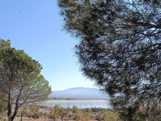 Finca rustica con casa en Villena