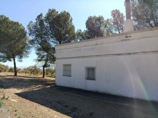 Finca rustica con casa en Villena