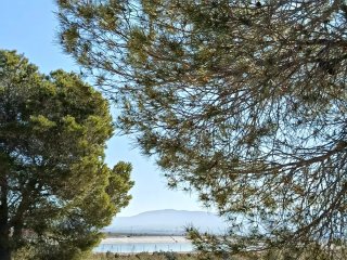 Finca rustica con casa en Villena