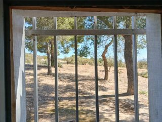 Finca rustica con casa en Villena