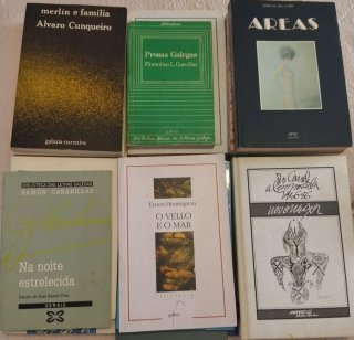 Lote 30 Libros Literatura Gallega