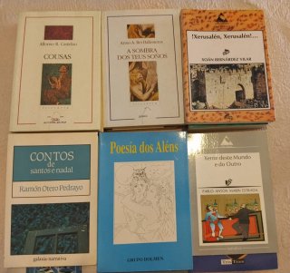 Lote 30 Libros Literatura Gallega