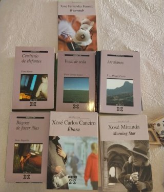 Lote 30 Libros Literatura Gallega