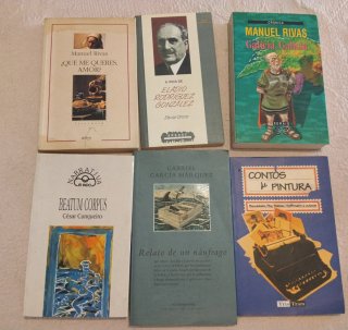 Lote 30 Libros Literatura Gallega