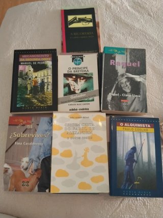 Lote 30 Libros Literatura Gallega