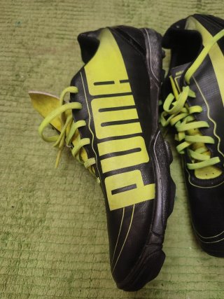 Botas Fútbol Sala Puma Evospeed
