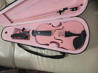 Violin Rosa para principiantes