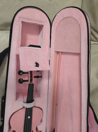 Violin Rosa para principiantes