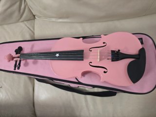 Violin Rosa para principiantes