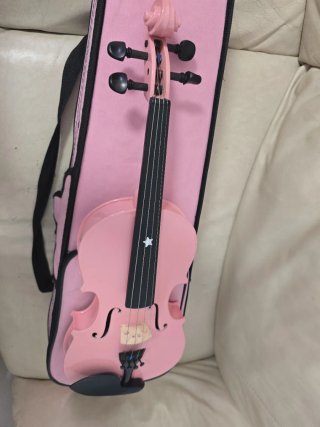 Violin Rosa para principiantes