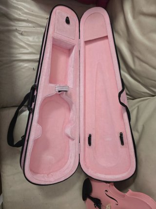Violin Rosa para principiantes