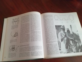 El Bebé y el Niño - Manual Cuidados
