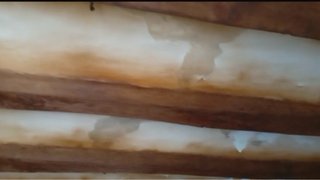 Servicios de Pintura y Mantenimiento
