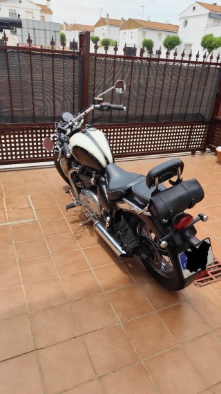 Triumph Bonneville Speedmaster Negra/Blanca