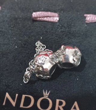 Pandora Catena di Sicurezza Argento