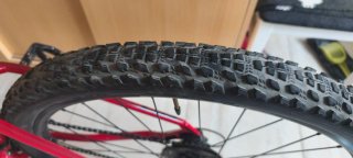 Mountain Bike Spike 29