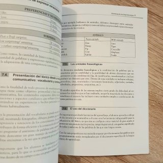 Enseñanza de una segunda lengua. Manual práctico.