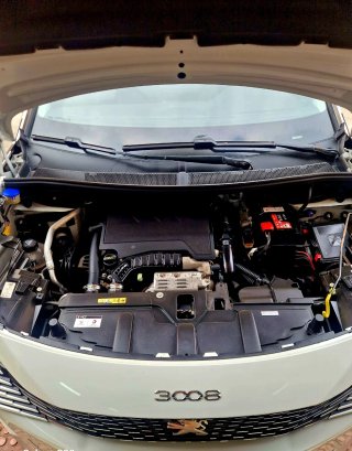 Peugeot 3008 2021