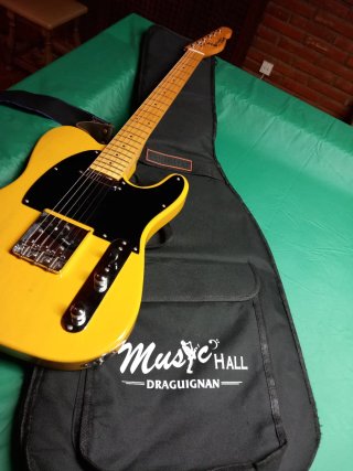 Guitarra Eléctrica Prodipe Teleca