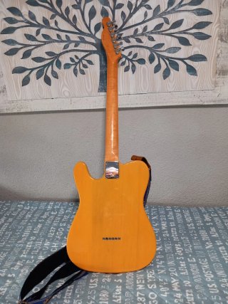 Guitarra Eléctrica Prodipe Teleca