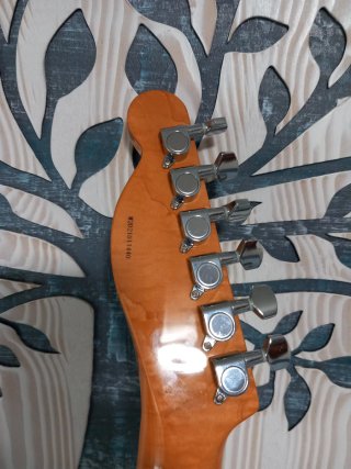 Guitarra Eléctrica Prodipe Teleca