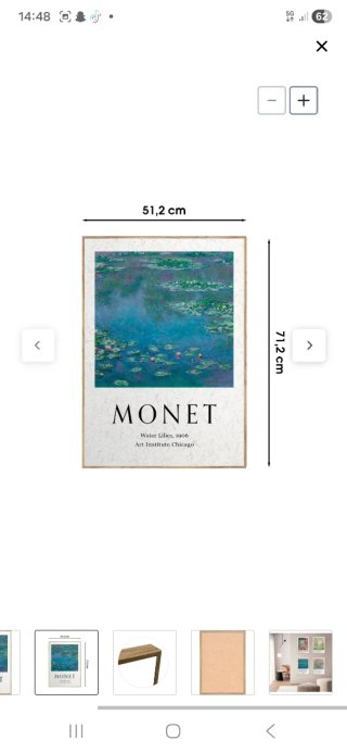 Cuadro Monet Water Lilies Impreso