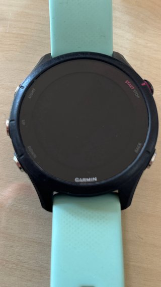 Garmin Forerunner 255S Music