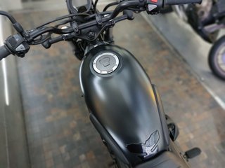 HONDA CL500 - 2024