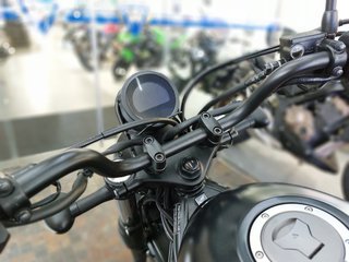 HONDA CL500 - 2024