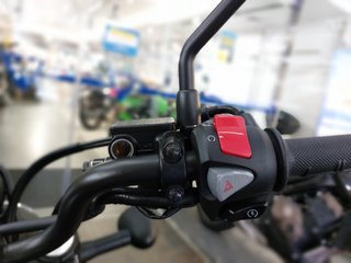HONDA CL500 - 2024