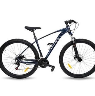 Bicicleta Ralli Azul