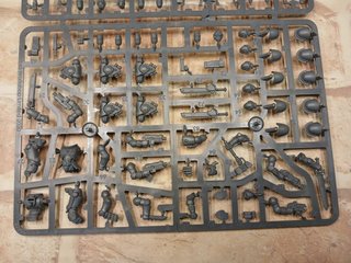 for eneko! 5 assault intercessors + 5 Primaris int