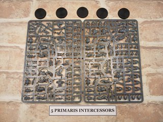 for eneko! 5 assault intercessors + 5 Primaris int