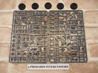 for eneko! 5 assault intercessors + 5 Primaris int