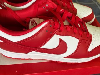 Nike Dunk Low sb Rojas Talla 42.5