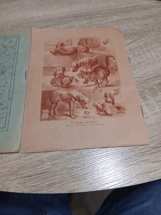 Cuadernos de caligrafía  antiguos