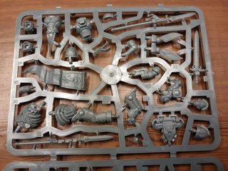 3 Sanguinary Guard Space Marines Warhammer 40k