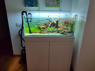 Acuario + Mueble Blanco